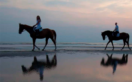 Turismo equestre nel Delta del Po