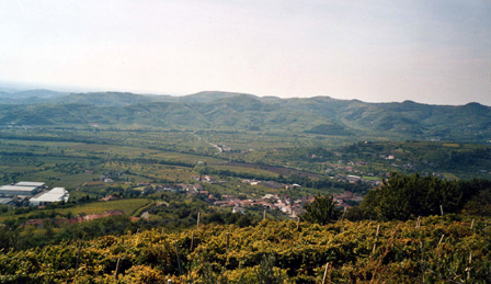 Strada dei vini Lessini-Durello