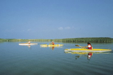 Canoa e kayak