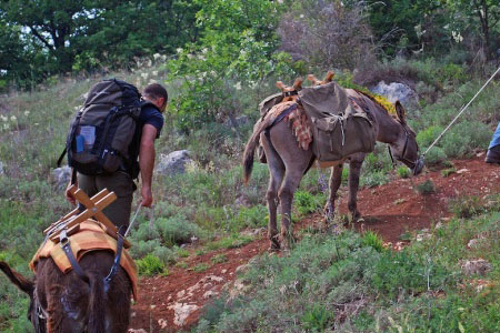 Trekking con gli asini