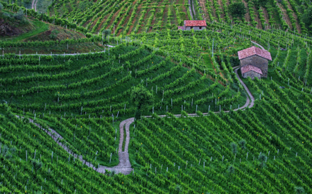 Sentiero delle Vedette