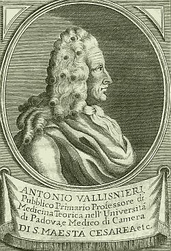 Antonio Vallisneri. Incisione