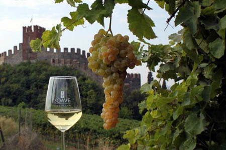 Vigneti Soave