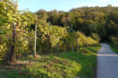 Valdobbiadene
