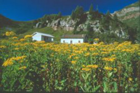 Piani Eterni-Errera-Val Falcina
