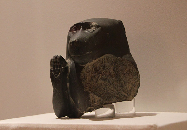 Cinocefalo proveniente da scavi presso il canale Grassaga, San Don&agrave; di Piave, Venezia