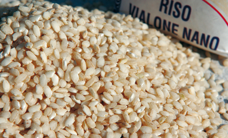 Riso Vialone nano