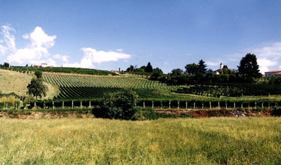 strada del Torcolato e vini di Breganze