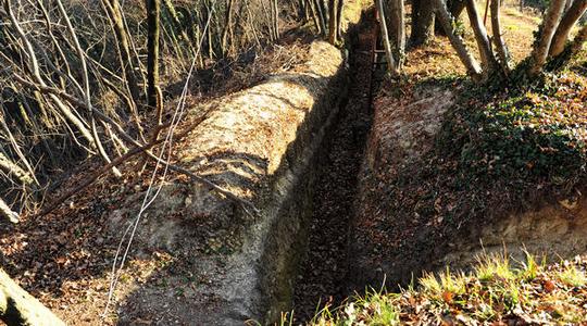 Foto dal sito MagicoVeneto