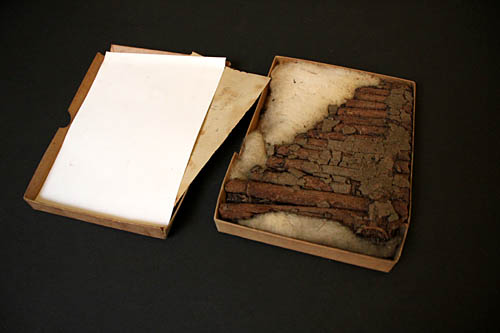 Flauto. Museo di Scienze Archeologiche e d'Arte dell'Universit&agrave; di Padova