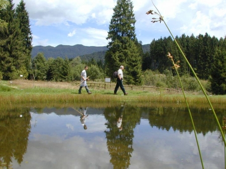 Giardino botanico "G. Lorenzoni" nel Cansiglio