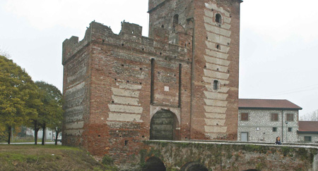 Isola della Scala - Risaia