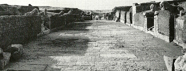 Scavi a Tebtynis. Fotografia degli scavi tratta dall'archivo Anti 