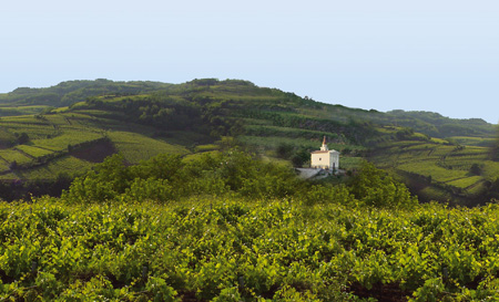 strada del Recioto e Gambellara