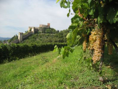 Recioto Soave
