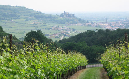 Vigneti a Soave