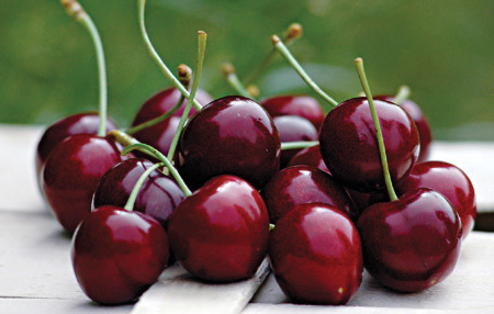 Ciliegia di Marostica Ciliegia di Marostica