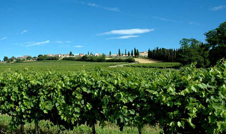 strada dei vini Custoza