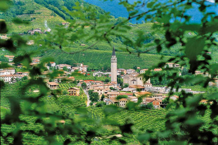 Borgo tra i vigneti