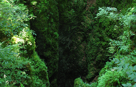 Il bus de la Lum in Cansiglio