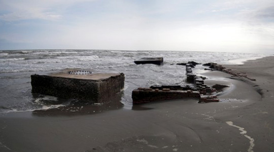 Foto Lorenzino Vendemmiati